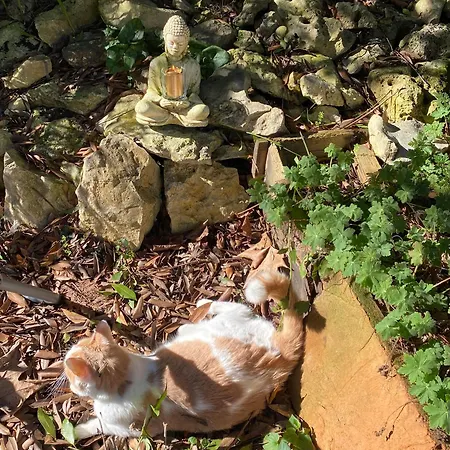 Au Jardin *