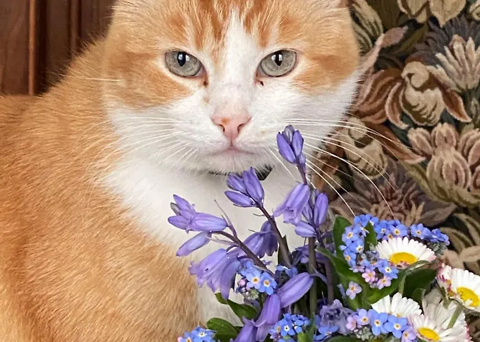 Au Jardin Bed & Breakfast 3*